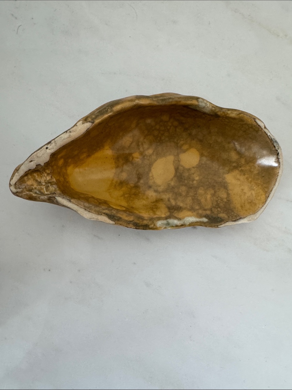 Decorative Oyster Shell from West Elm